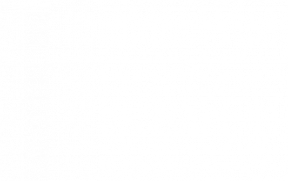HSMAI Region Europe in a ÔNutshellÕ